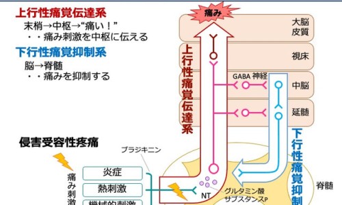 锡壶功效网 - 为你提供锡壶的十大好处和坏处、锡壶的十大好处和坏处