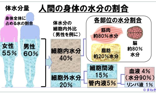 锡壶图片及价格-锡壶功效网 - 为你提供锡壶的十大好处和坏处、锡壶的十大好处和坏处